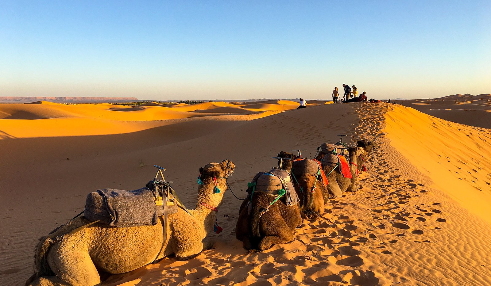 Traveling across Morocco with Morocco Dunes Tours